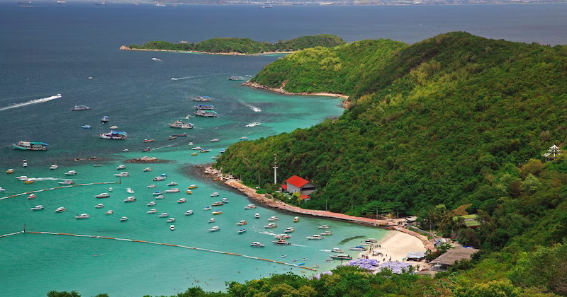 Discover Amazing Pattaya